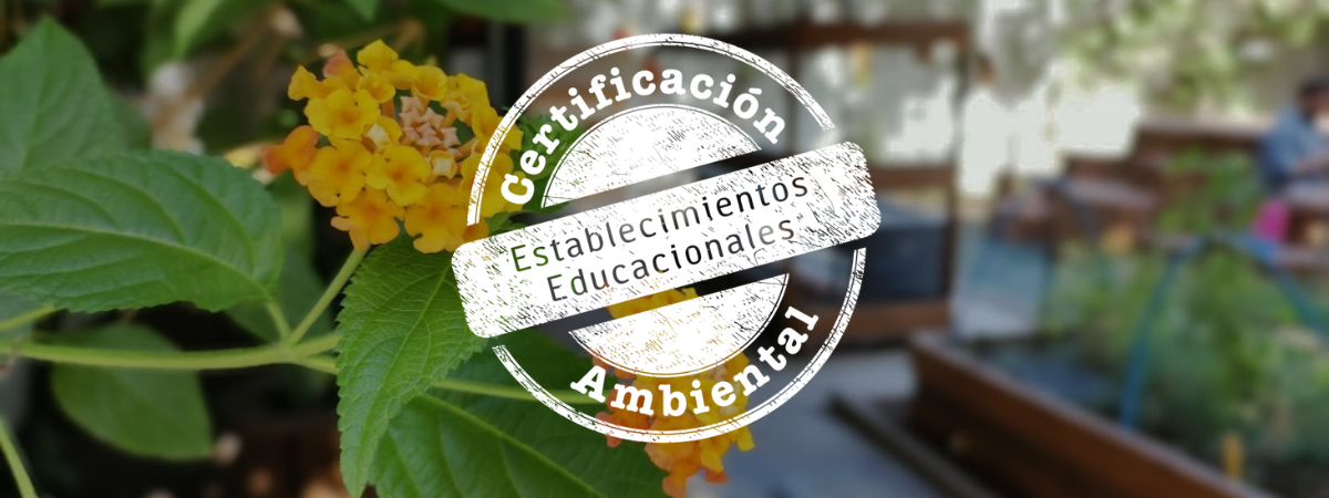 Gran noticia: TEI obtiene importante certificación medioambiental