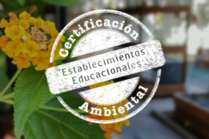 Toda una distinción para empezar a celebrar los 50 años